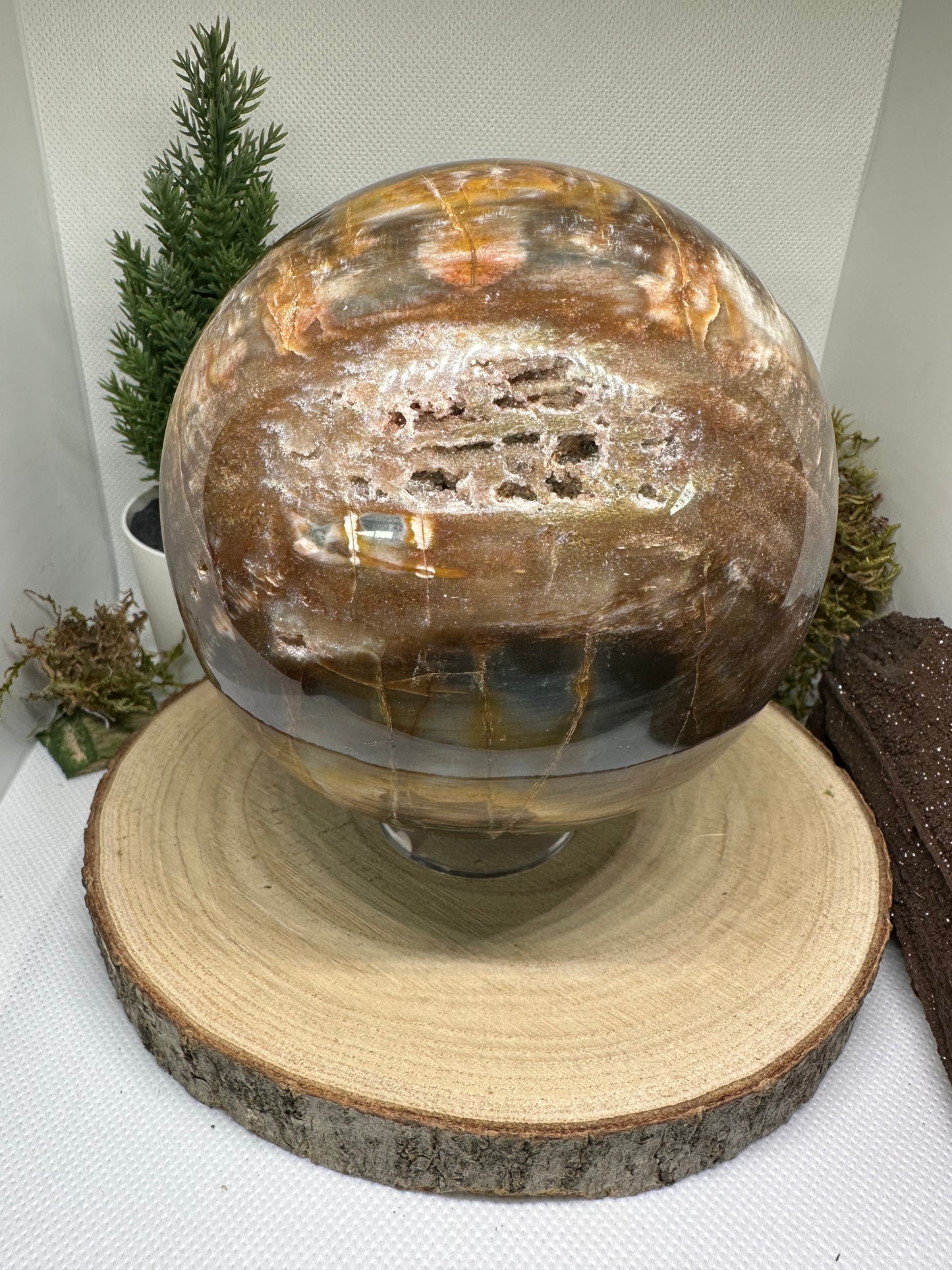 Versteinertes Holz Kugel