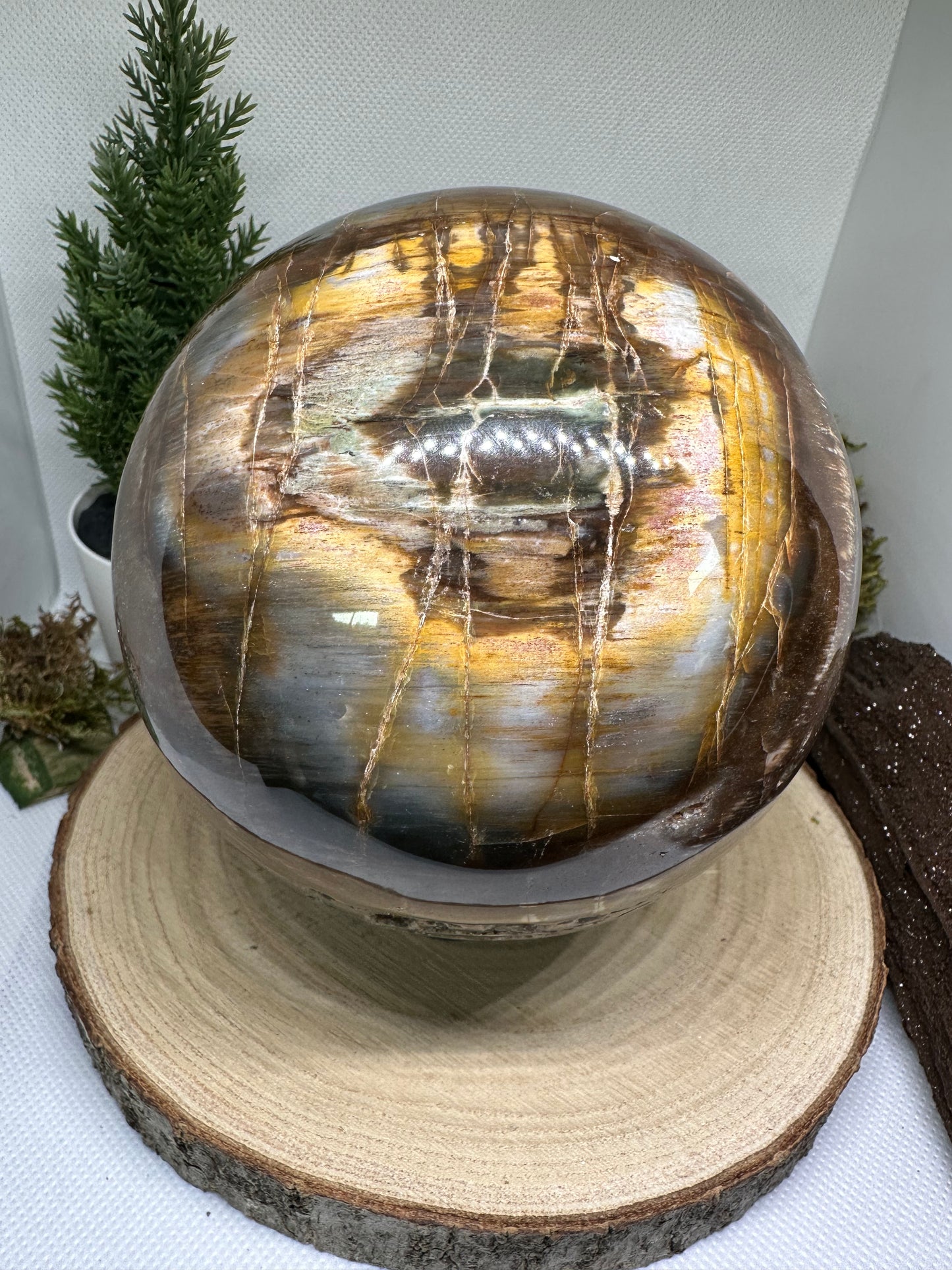 Versteinertes Holz Kugel